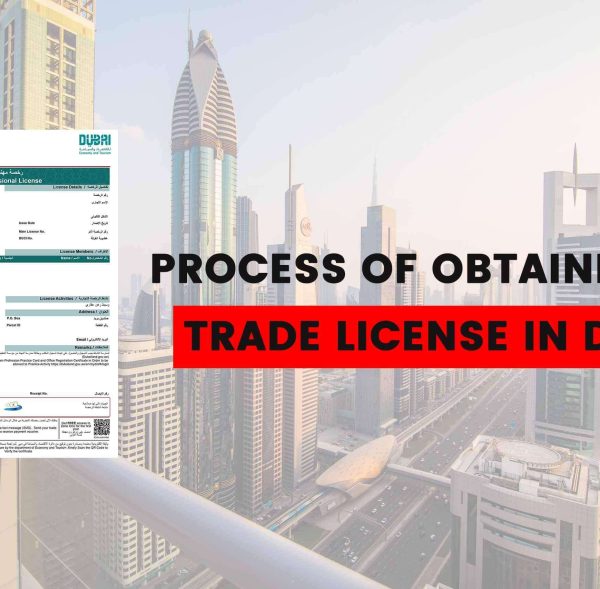 How-To-Get-A-Trade-License-In-Dubai-1-1